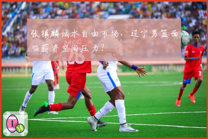 张镇麟试水自由市场,辽宁男篮面临薪资空间压力?
