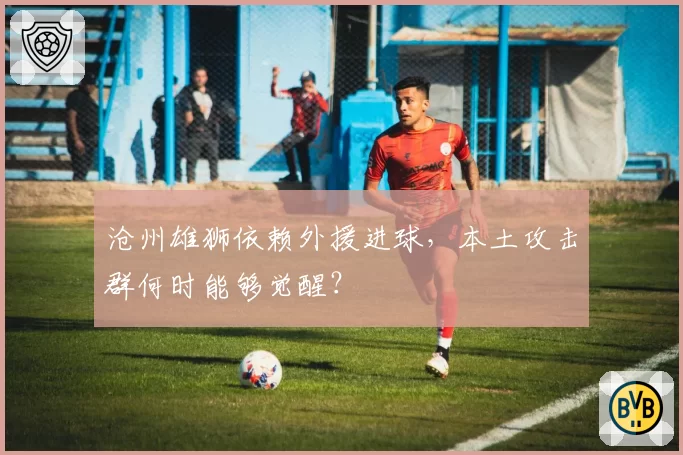 沧州雄狮依赖外援进球，本土攻击群何时能够觉醒？