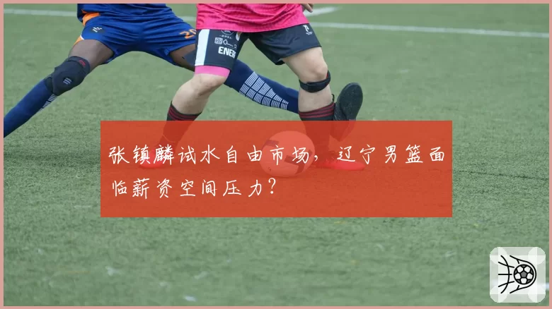 张镇麟试水自由市场,辽宁男篮面临薪资空间压力?