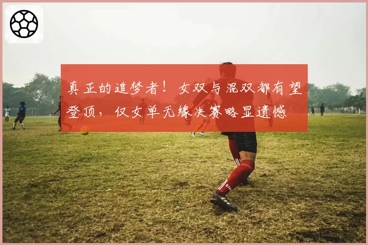 真正的追梦者!女双与混双都有望登顶,仅女单无缘决赛略显遗憾